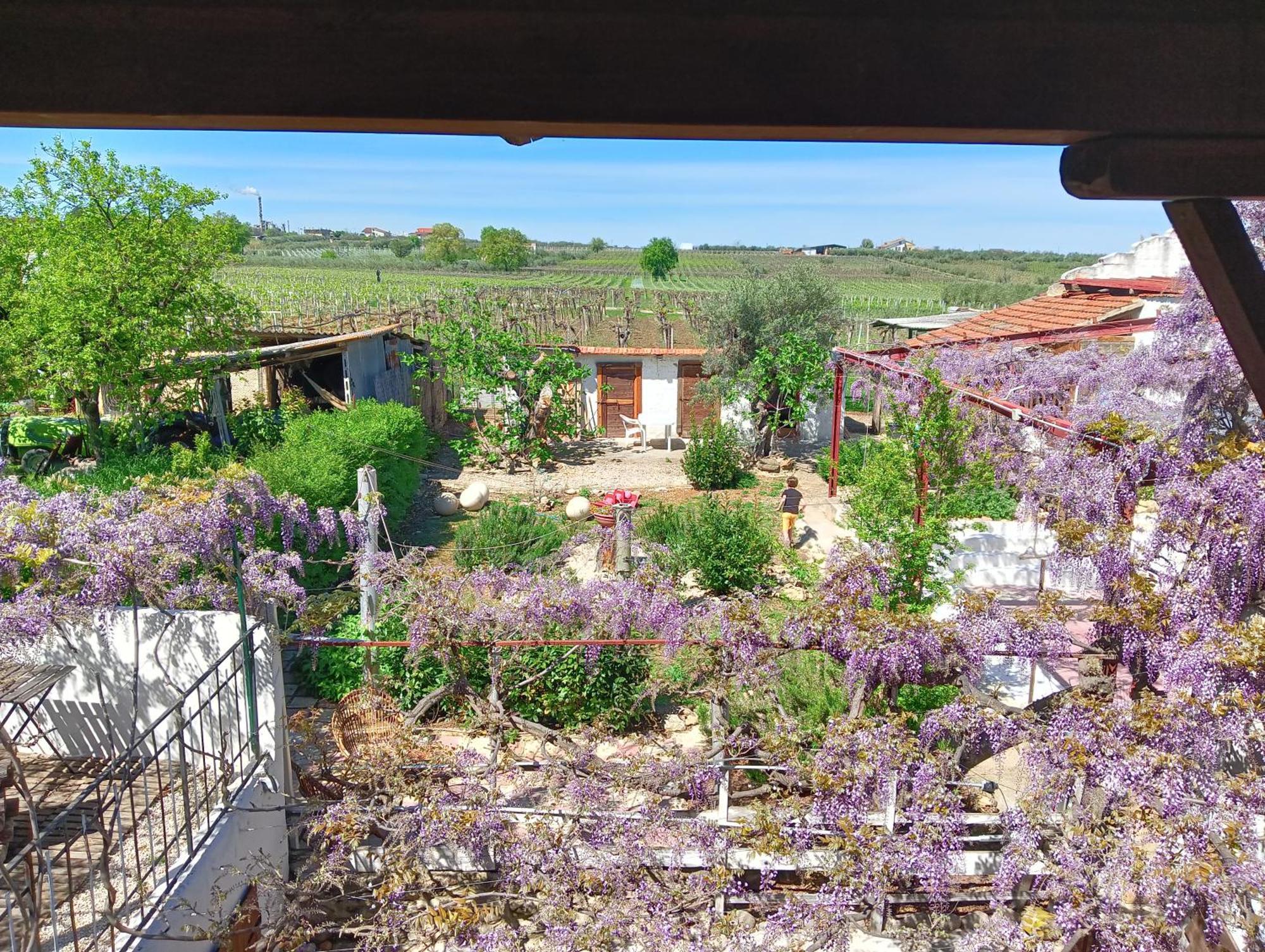 B&B Il Secolo Breve Ortona Exterior foto